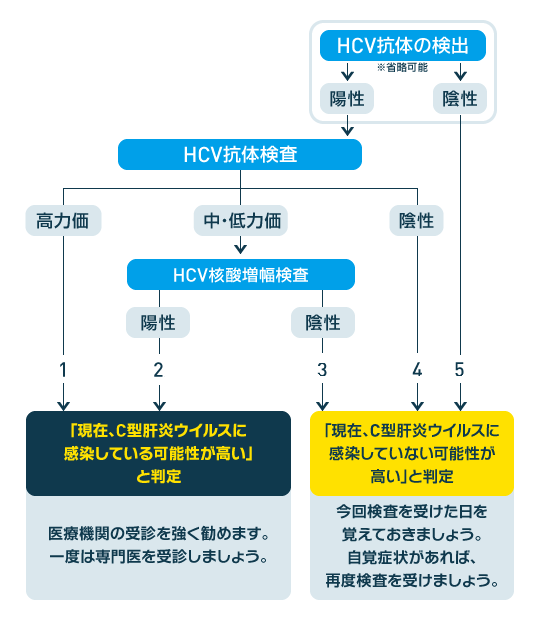 C型肝炎ウイルス検査