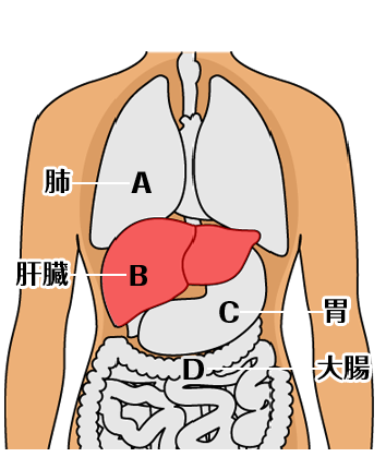 問題Aの回答の図